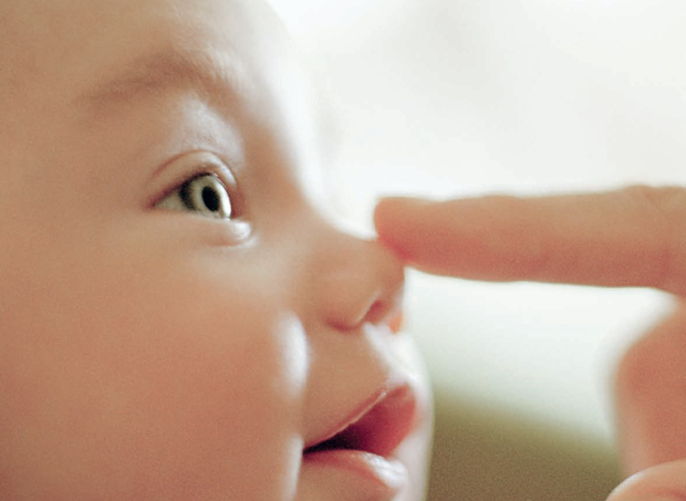 exploracao sensorial dos bebes